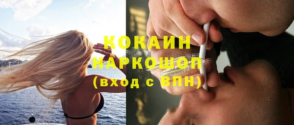 гашик Алзамай