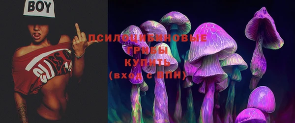 хмурый Алексеевка