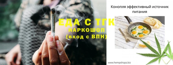 шишки Заполярный