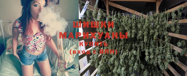 гашик Алзамай