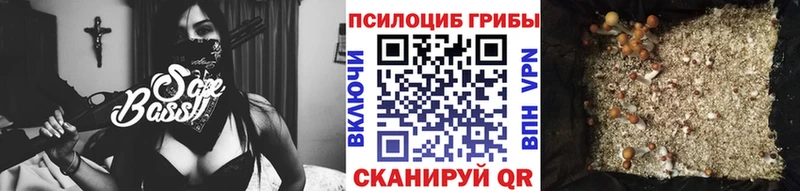 Псилоцибиновые грибы мицелий Крымск