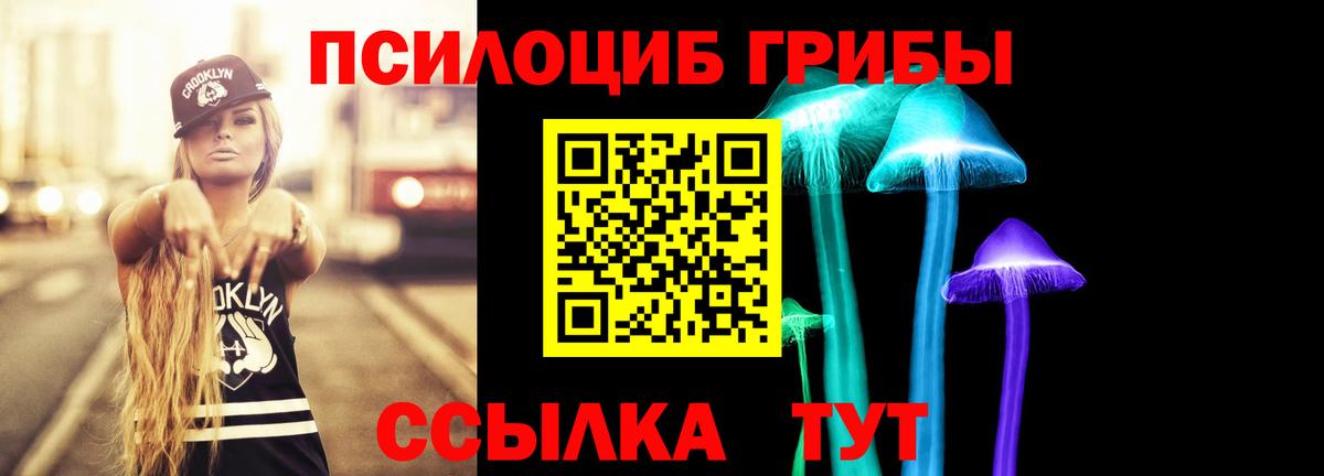 Крымск  Галлюциногенные грибы GOLDEN TEACHER  Галлюциногенные грибы ЛСД  Вход с VPN 